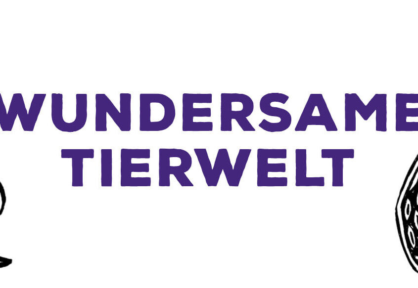 Homepage: Wundersame Tierwelt
